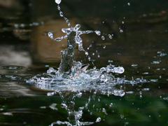 水絡み１