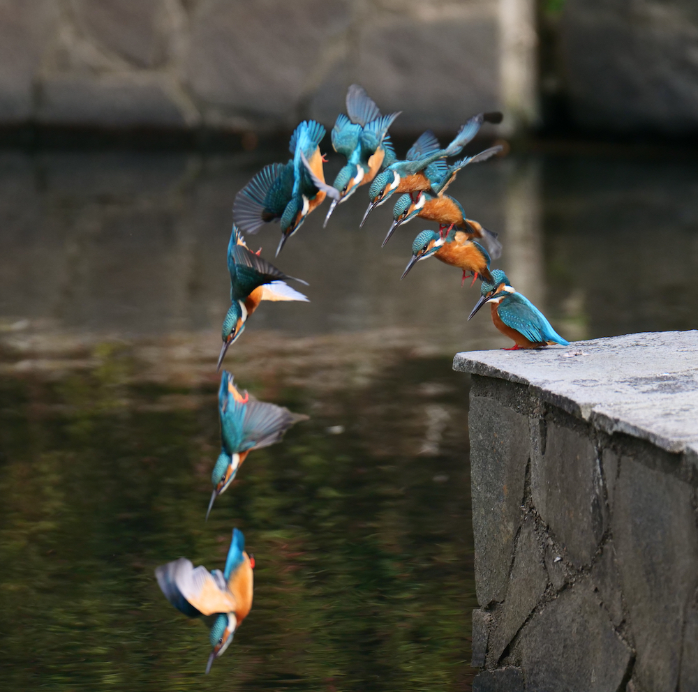 連続写真