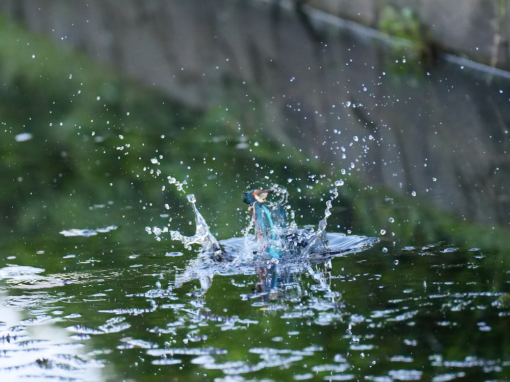 着水〜離水