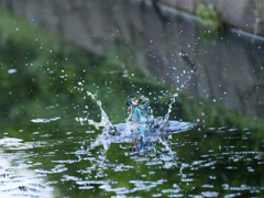 着水〜離水