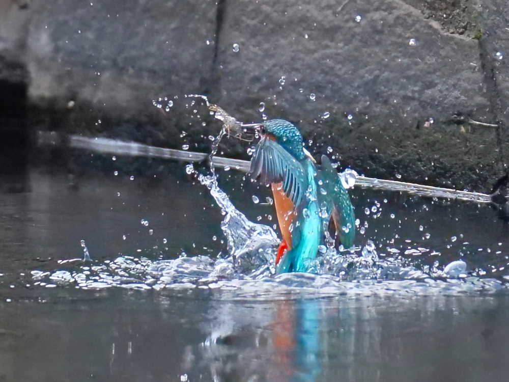 離水２