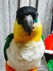 2018-12-23-18-12-18
