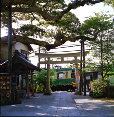 鎌倉御霊神社