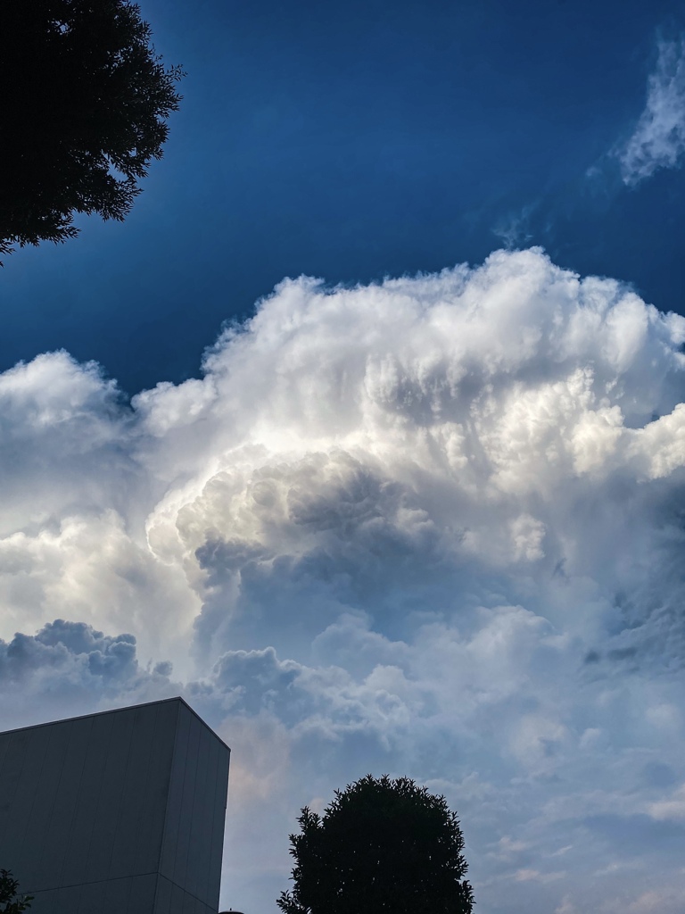 積乱雲急成長