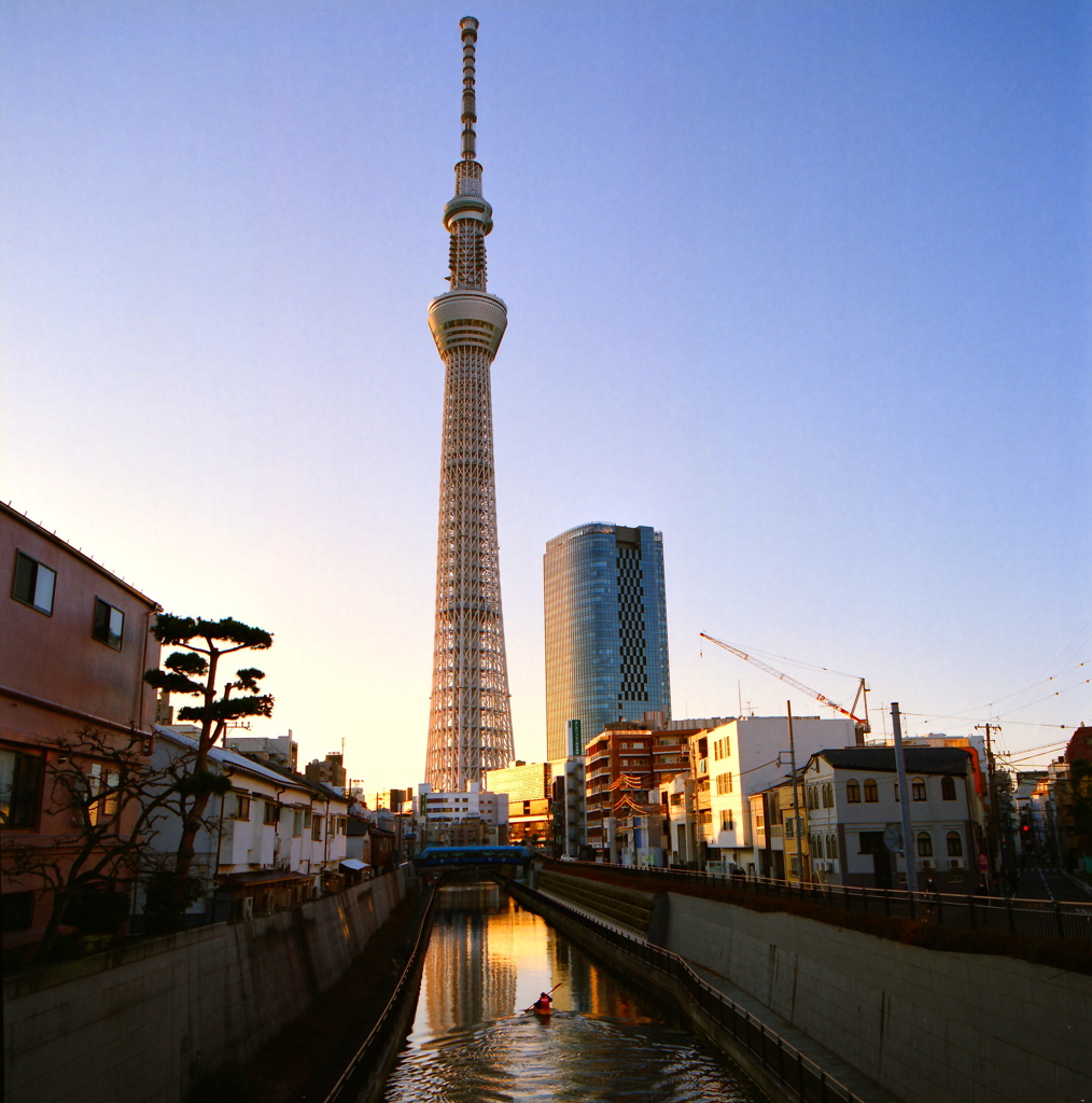 東京運河スカイツリー