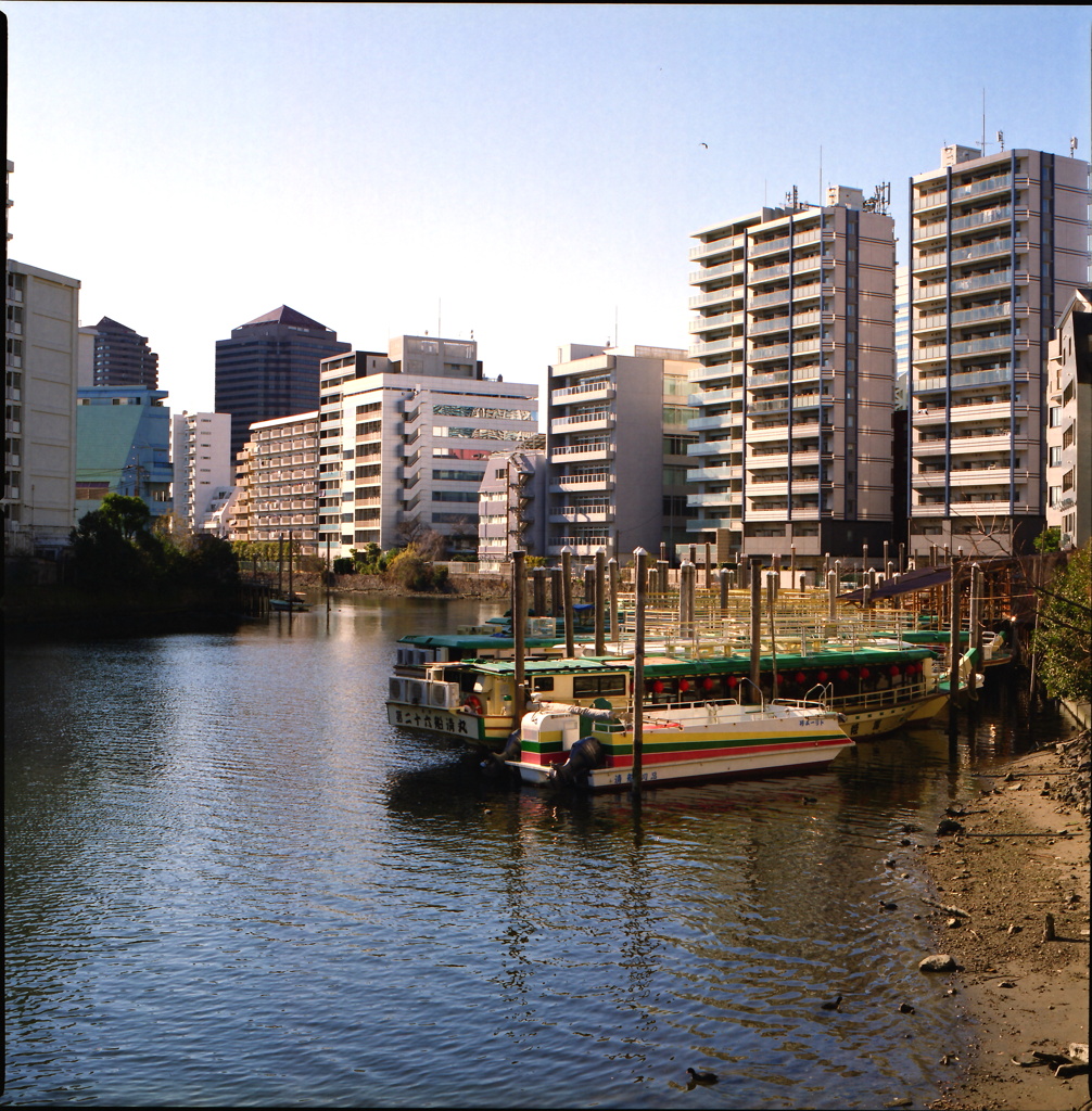 東京運河舟溜り2