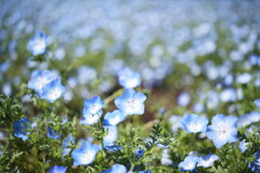 ぐるぐるボケ？