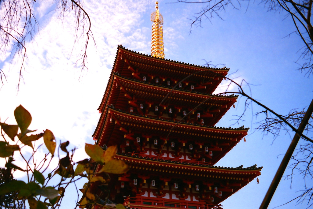 高幡不動尊の五重塔