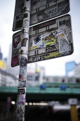 いろいろな主張