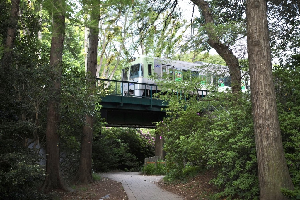 井の頭森林鉄道