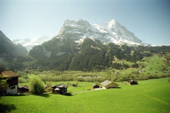 スイスの牧場2