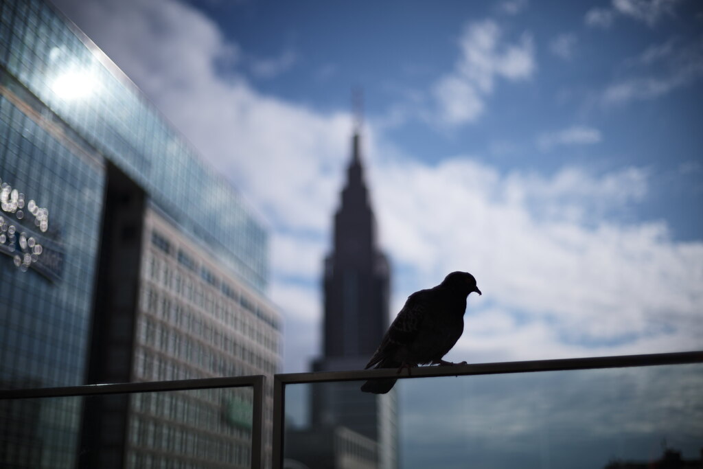 新宿