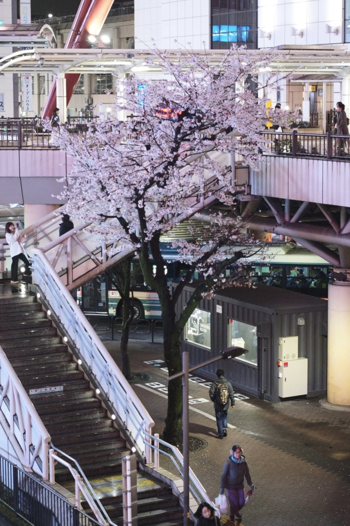 Tachikawa 4