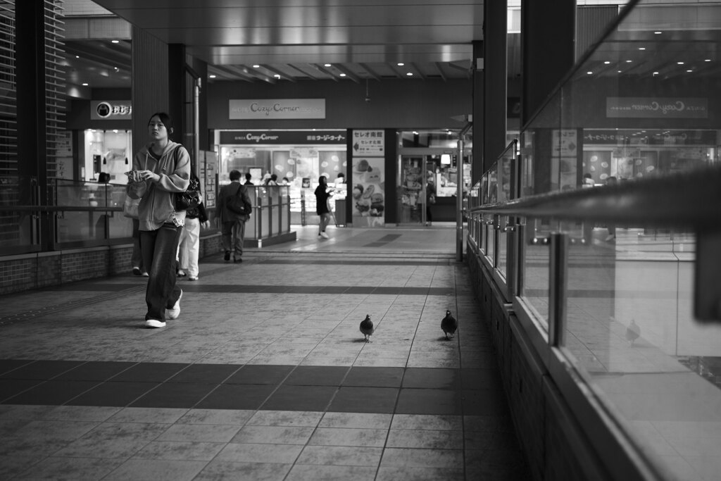 鳩ウオーキング