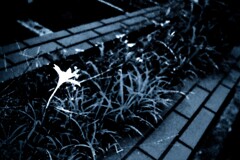 憂鬱を見る