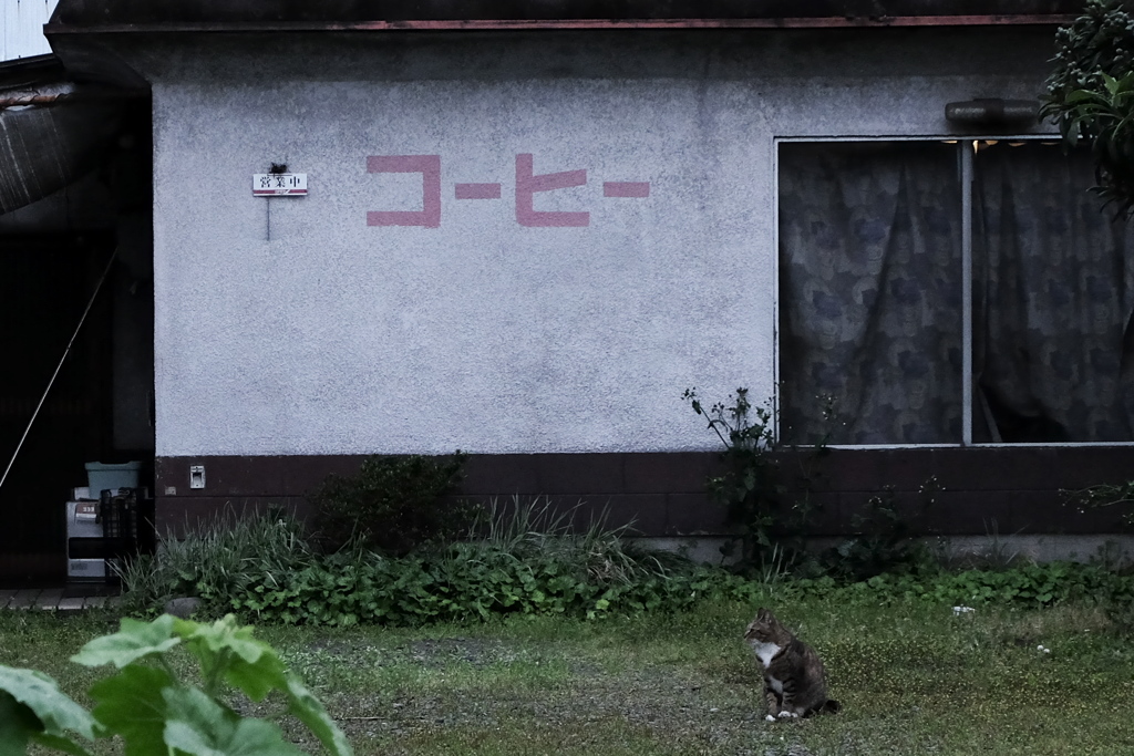 番