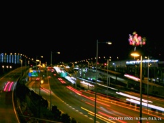 葛西臨海公園より