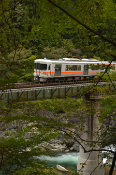紅葉前の飛騨川