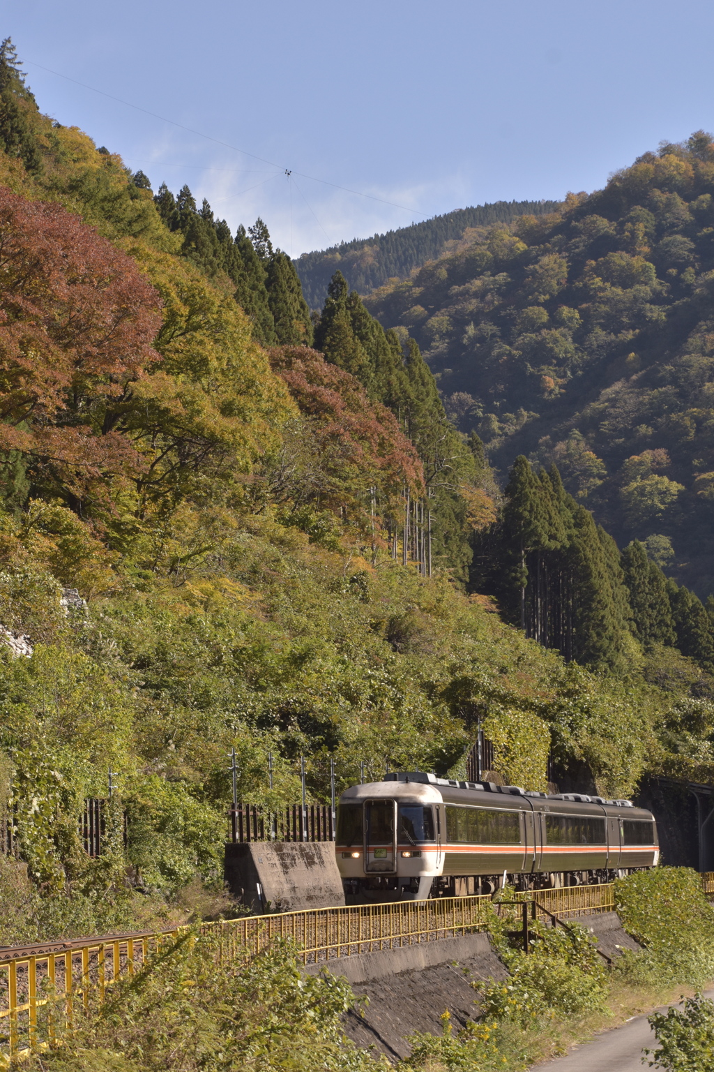 ひだ号飛越を行く