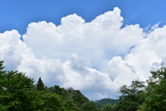 夏