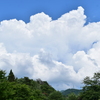夏