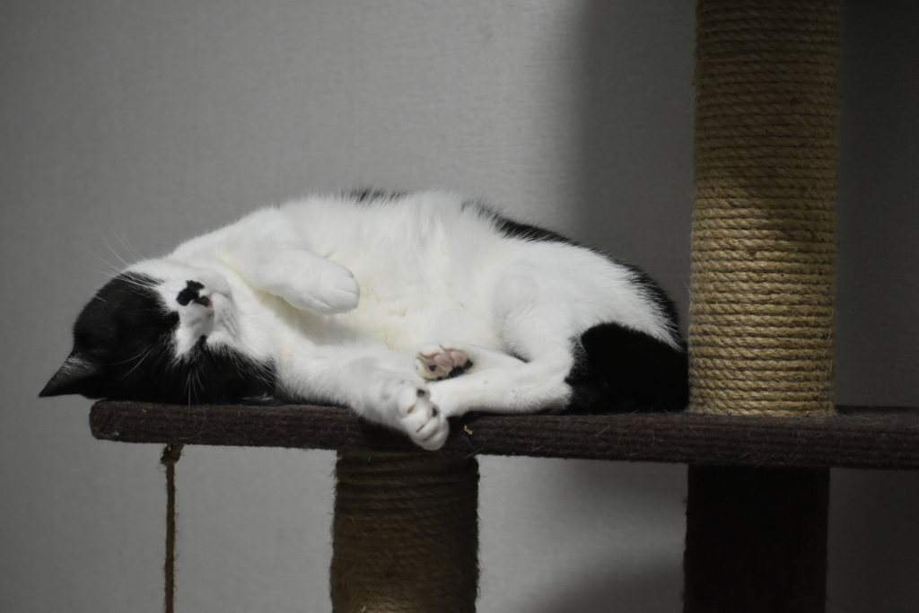 本年もお世話になりました(^^)/