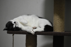 本年もお世話になりました(^^)/ 本年もお世話になりました(^^)/