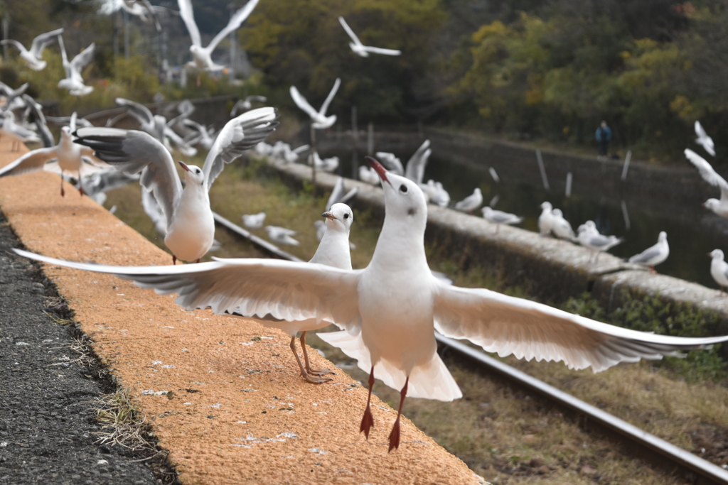 ねえ、踊ろうよ♪