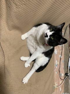 寛ぎながら監視