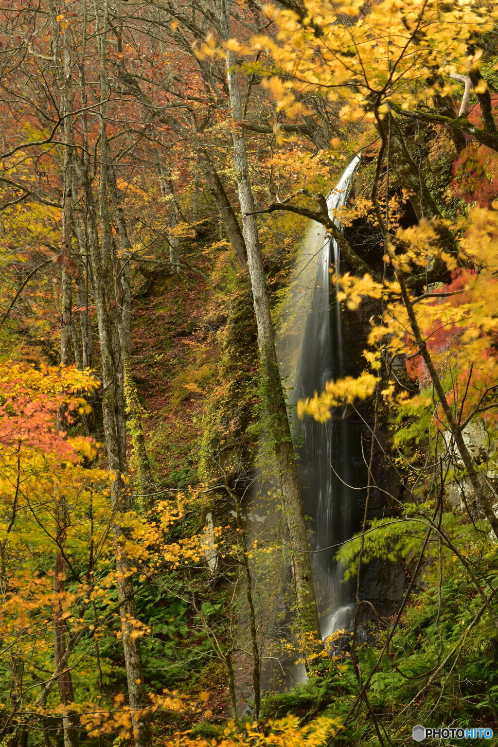 紅葉と滝