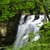 夏モミジの瀑