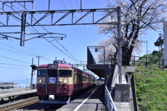 急行と桜と海の駅