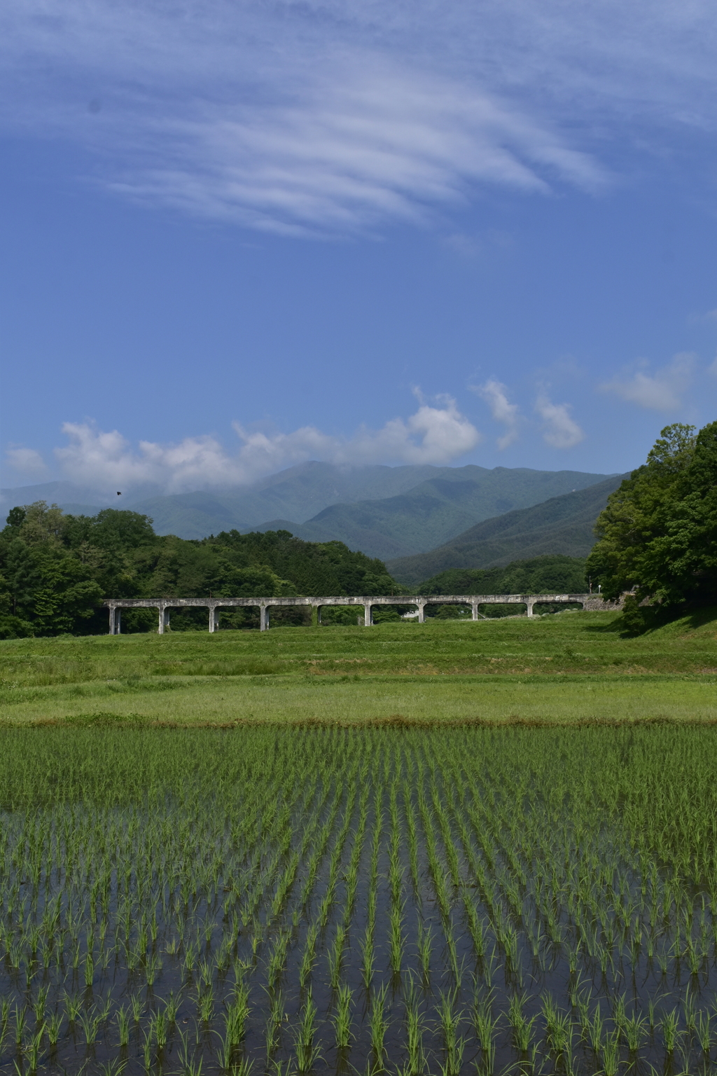 曇り予報が晴れだった朝