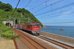 真夏の日本海を行く