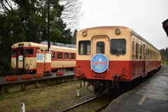 初代東京オリンピックに生まれた