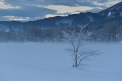 豪雪地帯の夜明け