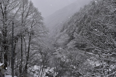 飛騨川雪景色