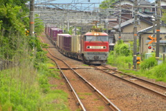 上るんです！