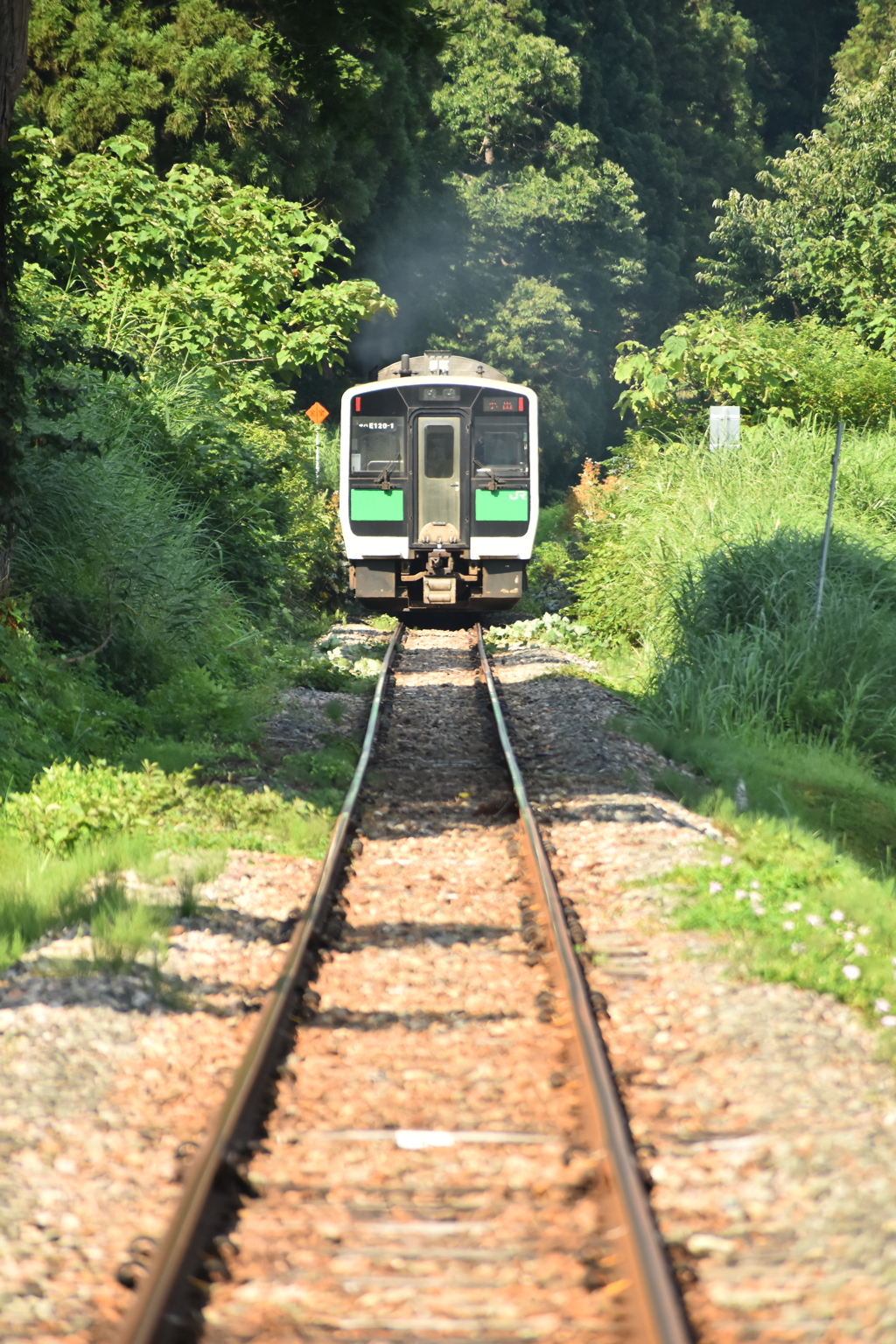 トップナンバーが行く