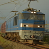 青森目指す505号機