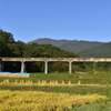 田園の元水路橋