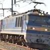 逆光タイムの501号機