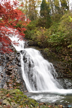 紅葉と七滝