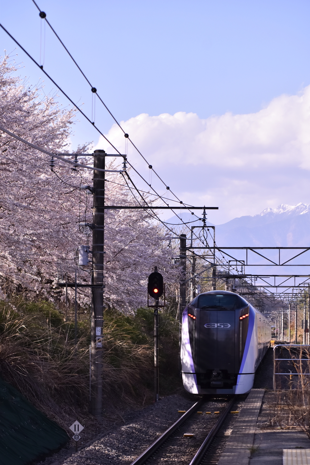 桜とあずさと八ヶ岳