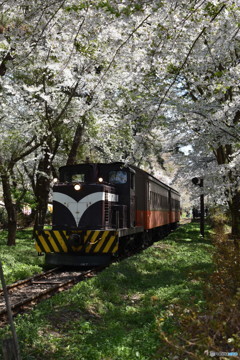 ストーブ列車がやって来た～