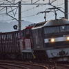 貨物列車確変中①