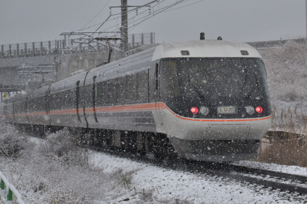 雪路を行く