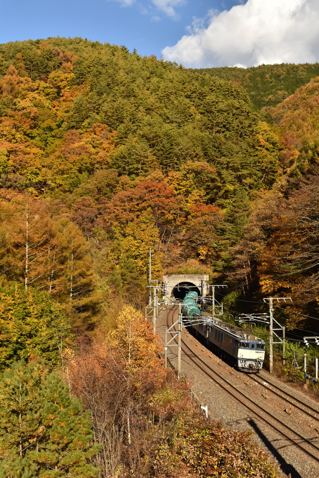 トンネルを出たら紅葉だった