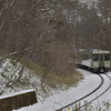 真冬の春色の列車