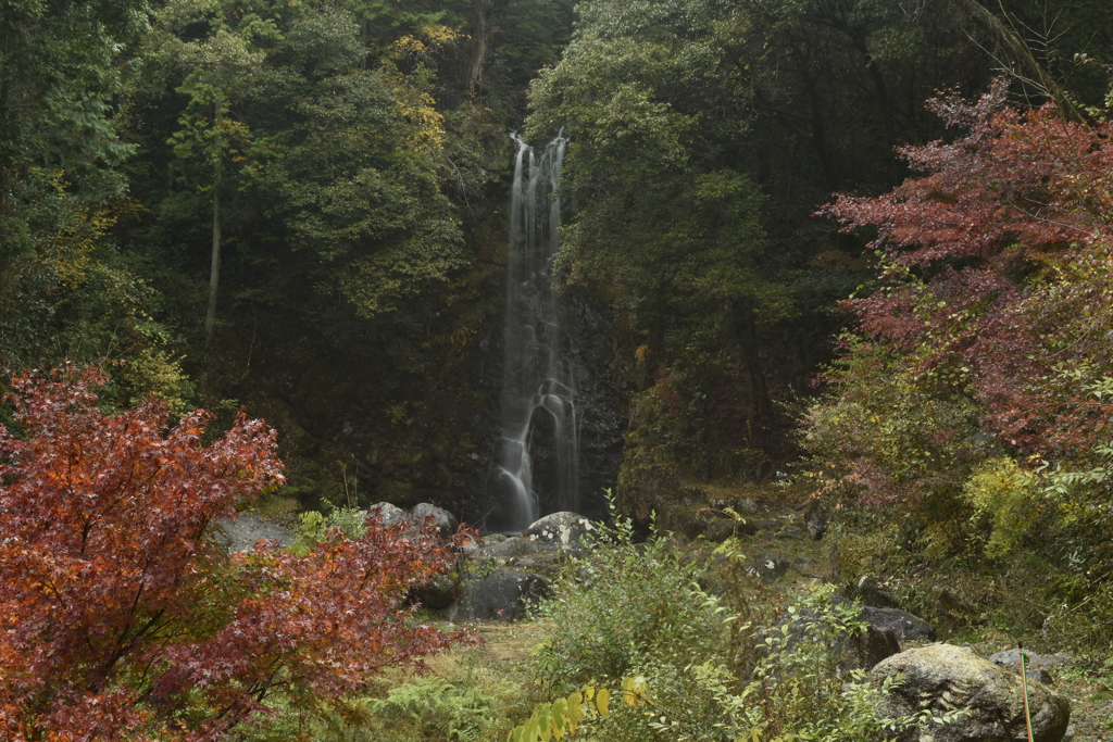 南信東濃滝巡り③